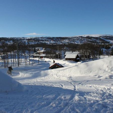 Bergfosshytta Apartment Ron Exterior photo